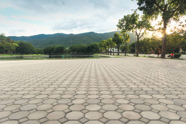 Best Decorative Driveway Pavers  in Wentworth, NC